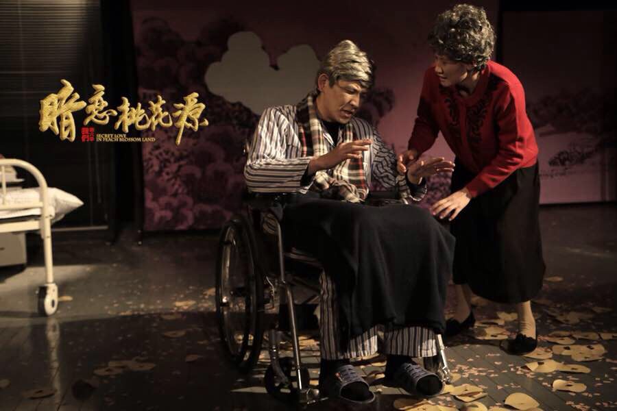 11级毕业剧目《暗恋桃花源》