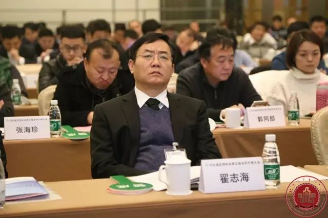 翟志海董事长当选河北省足协副主席